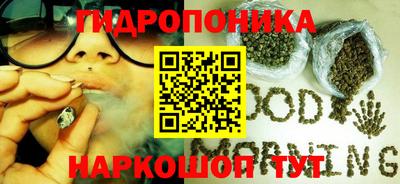 гидропоника Кунгур
